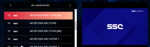 Megaott IPTV xxx support Android Box Smart IPTV PC for all device global M3u IPTV Mega photo review